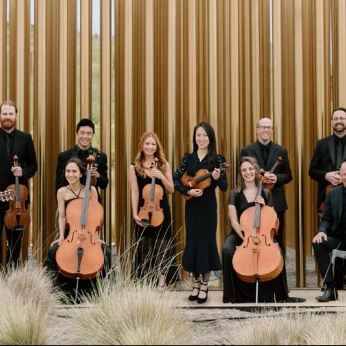 From our team to you: Cheers to a year of growth and triumphs! Happy New Year! 🥂
.
.

#happynewyear #guitar #violin #viola #cello #musicians #2024 #nye #wedding #napavalley #sf