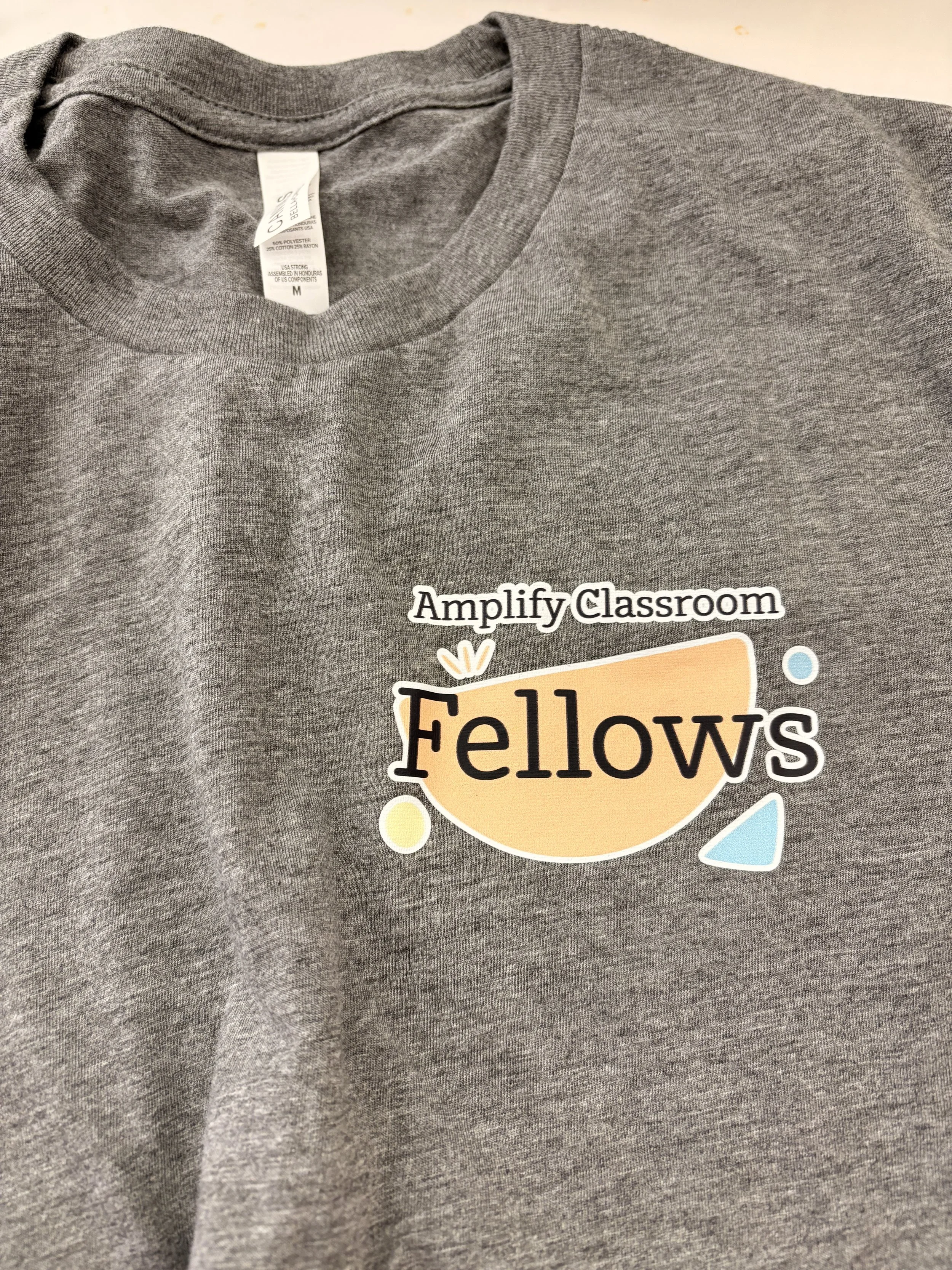 amplify fellow pic 4.JPG