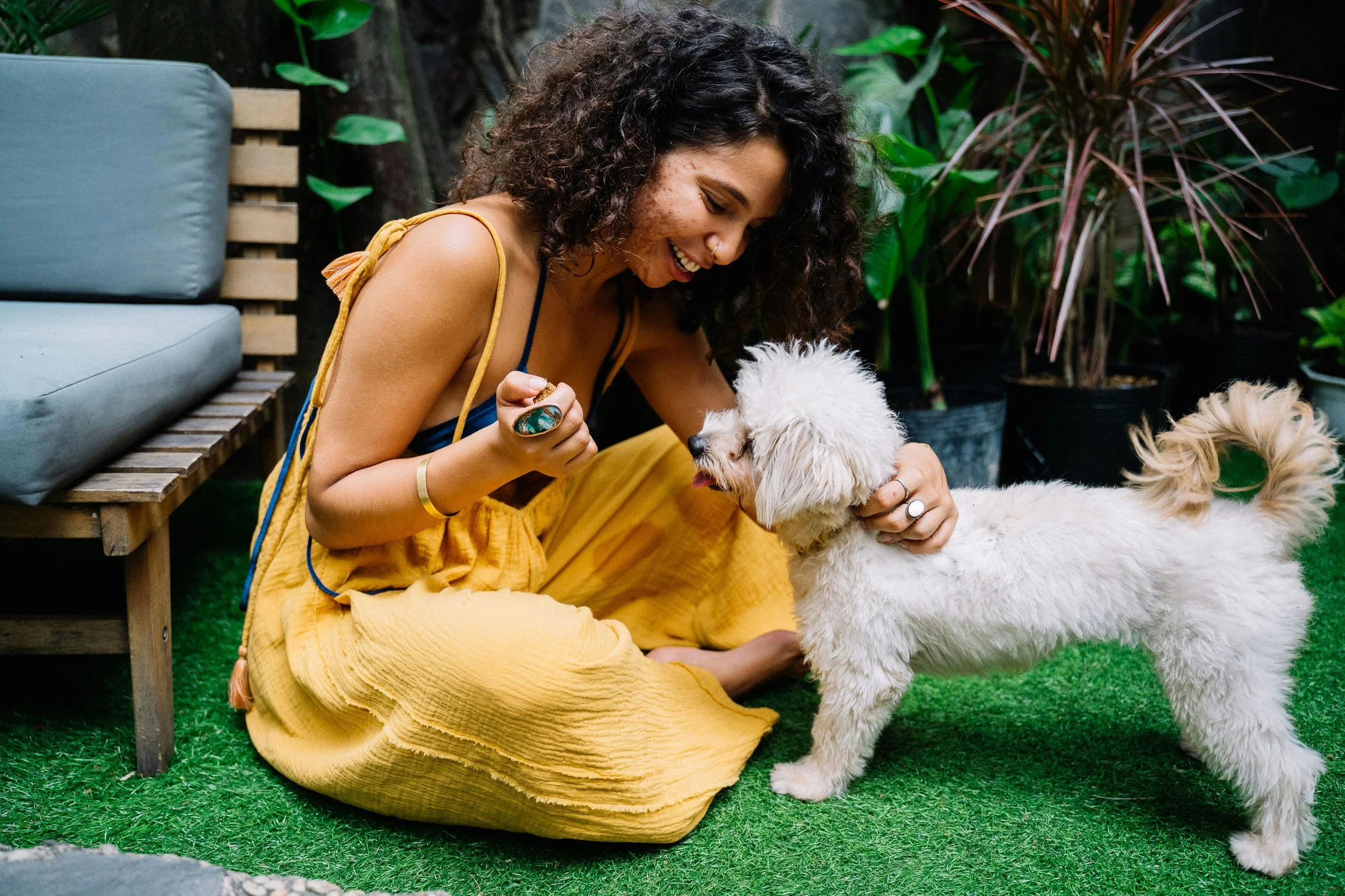 Woman with curly dark hair in a yellow jumper playing happily with small white dog.