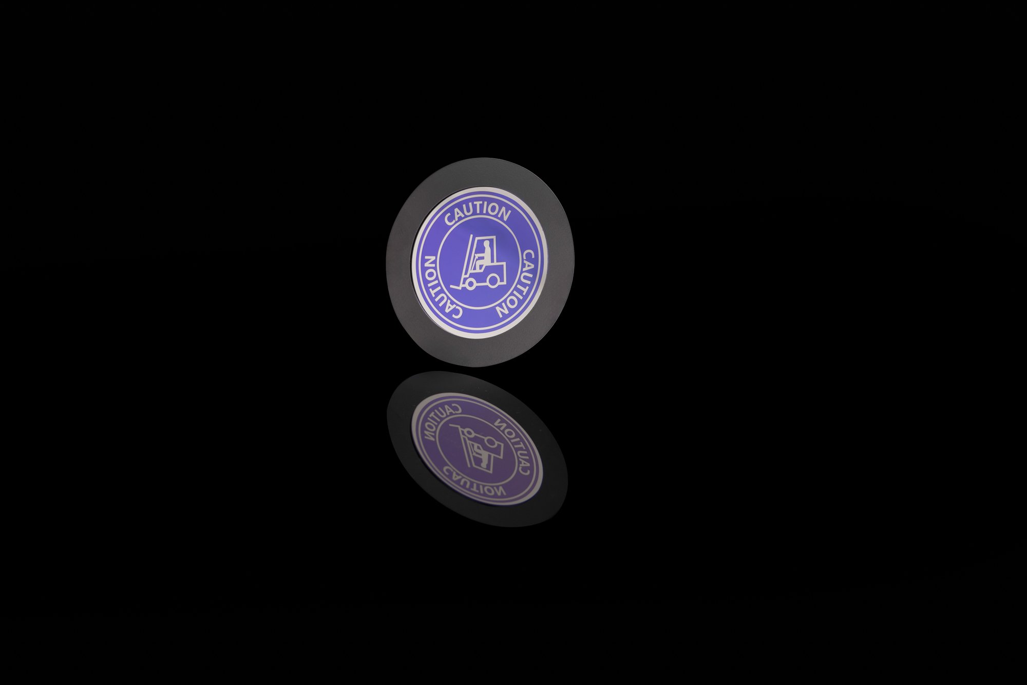 Disc 4.jpg