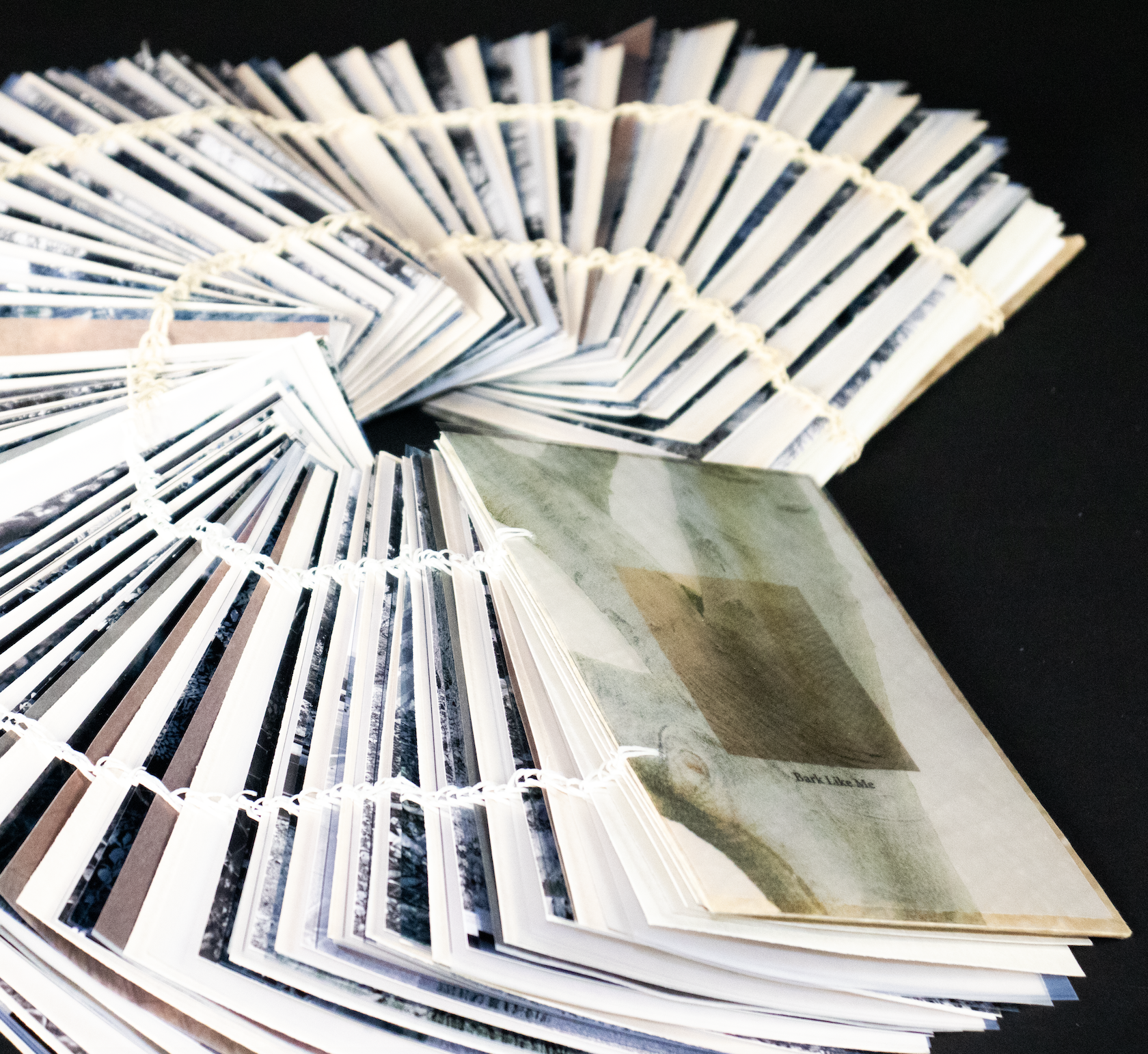 截屏2025-07-01 下午1.39.19.png