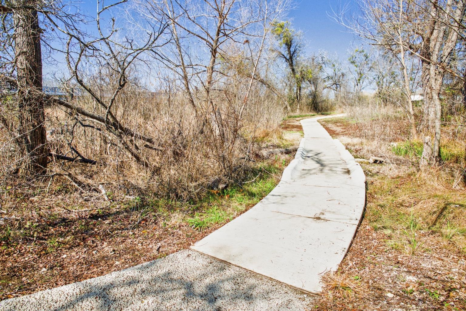 Concrete sidewalk winding through creek area, wooded area with leafless trees and sparse green vegetation, under a clear blue sky.