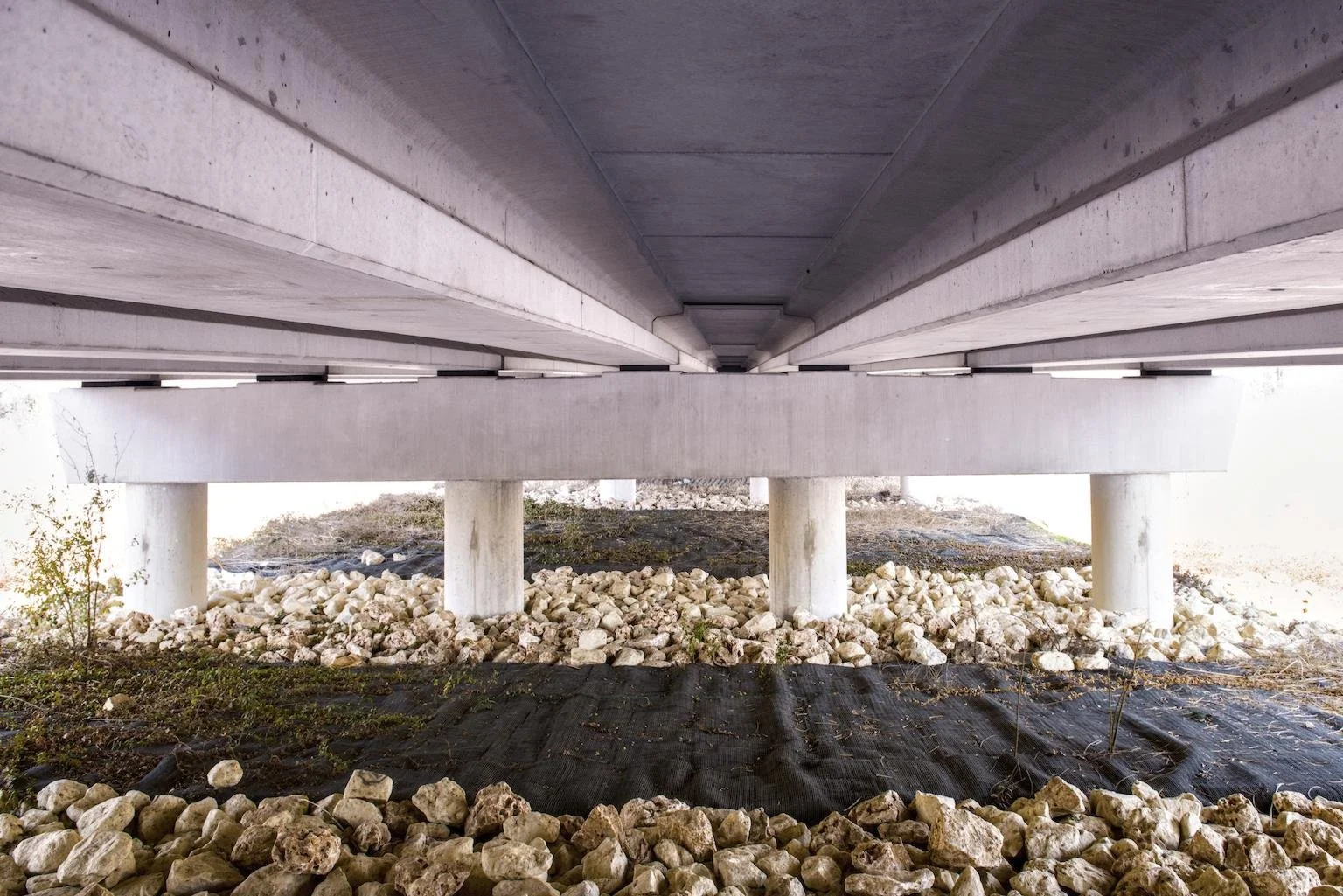 Underneath a concrete bridge supported by round columns, with a bed of rocks and some vegetation.