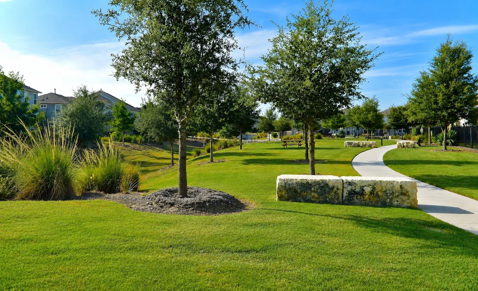 A park with a curved walkway, green grass, trees, shrubs, and benches, under a blue sky.