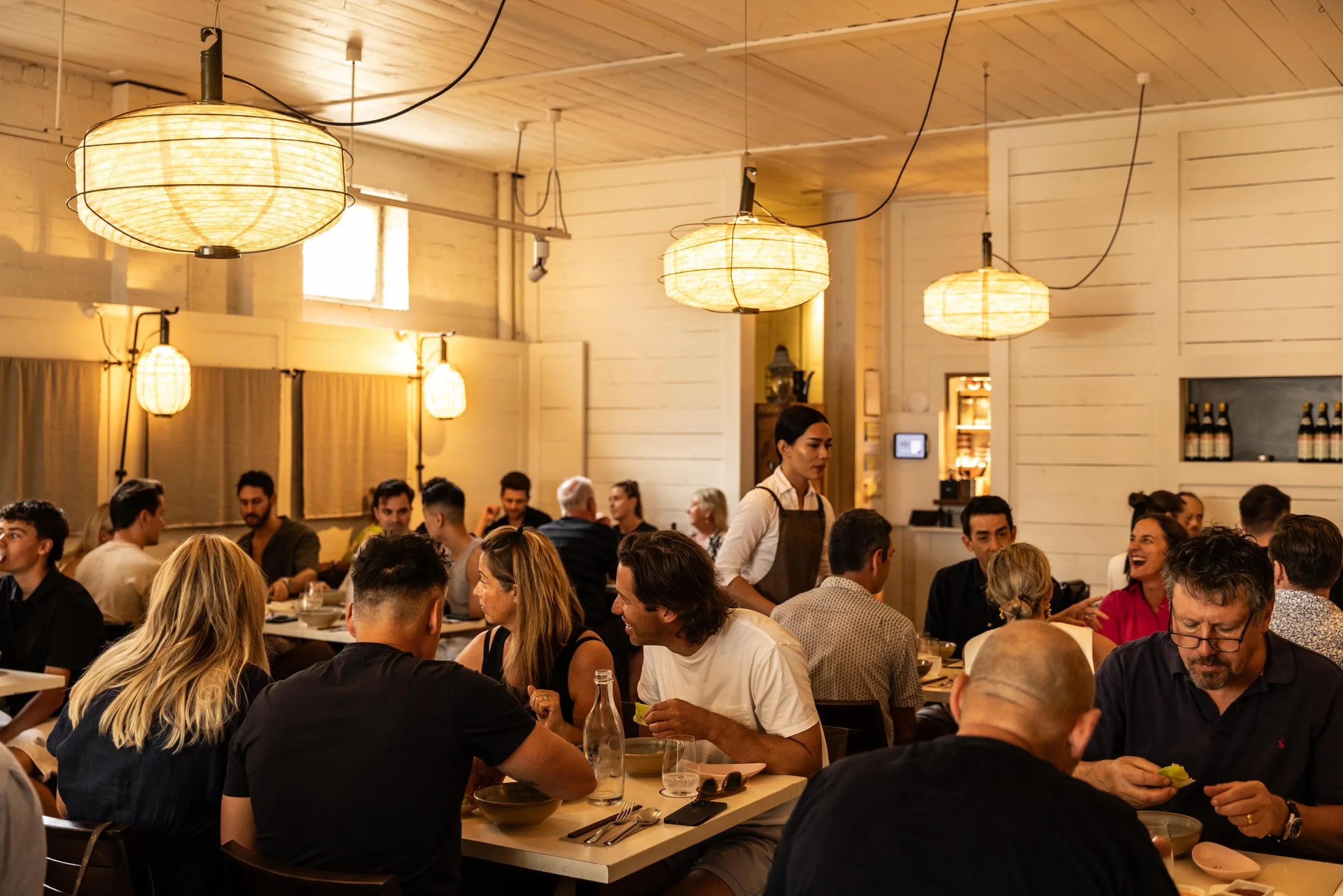 David_s_23-2_0026 (1).JPG