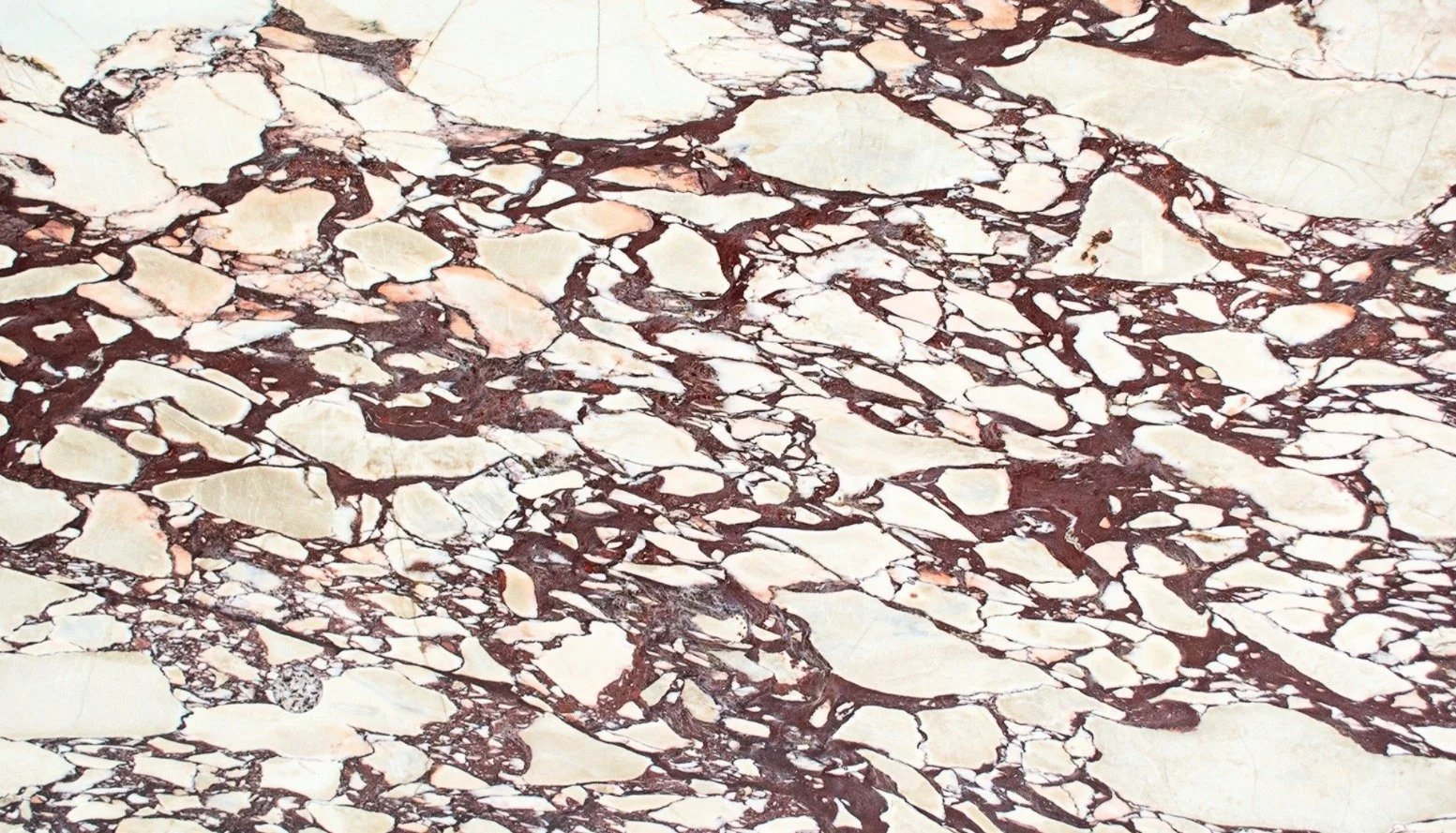 Calacatta Viola