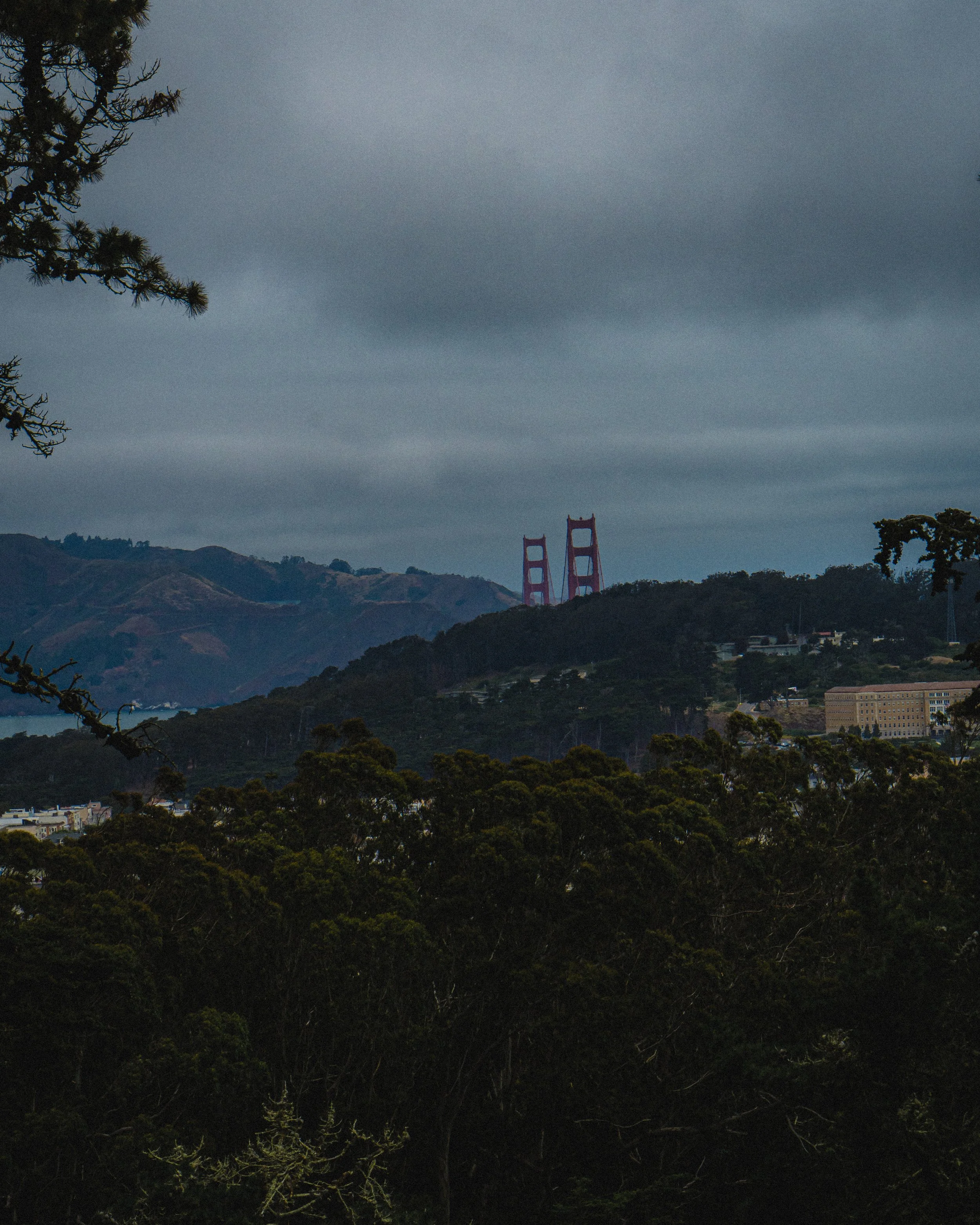 CA-03.jpg