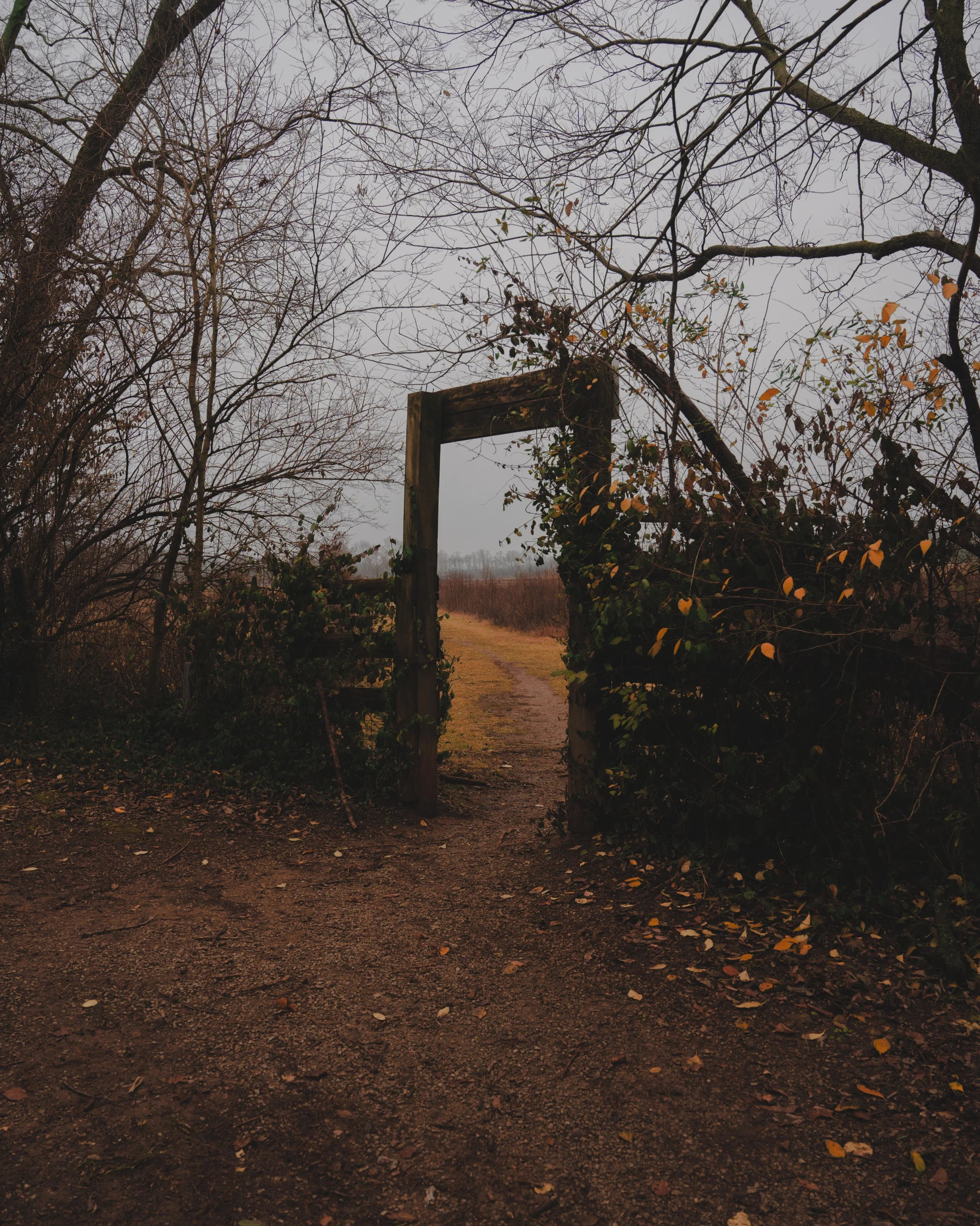 Nature-4.jpg
