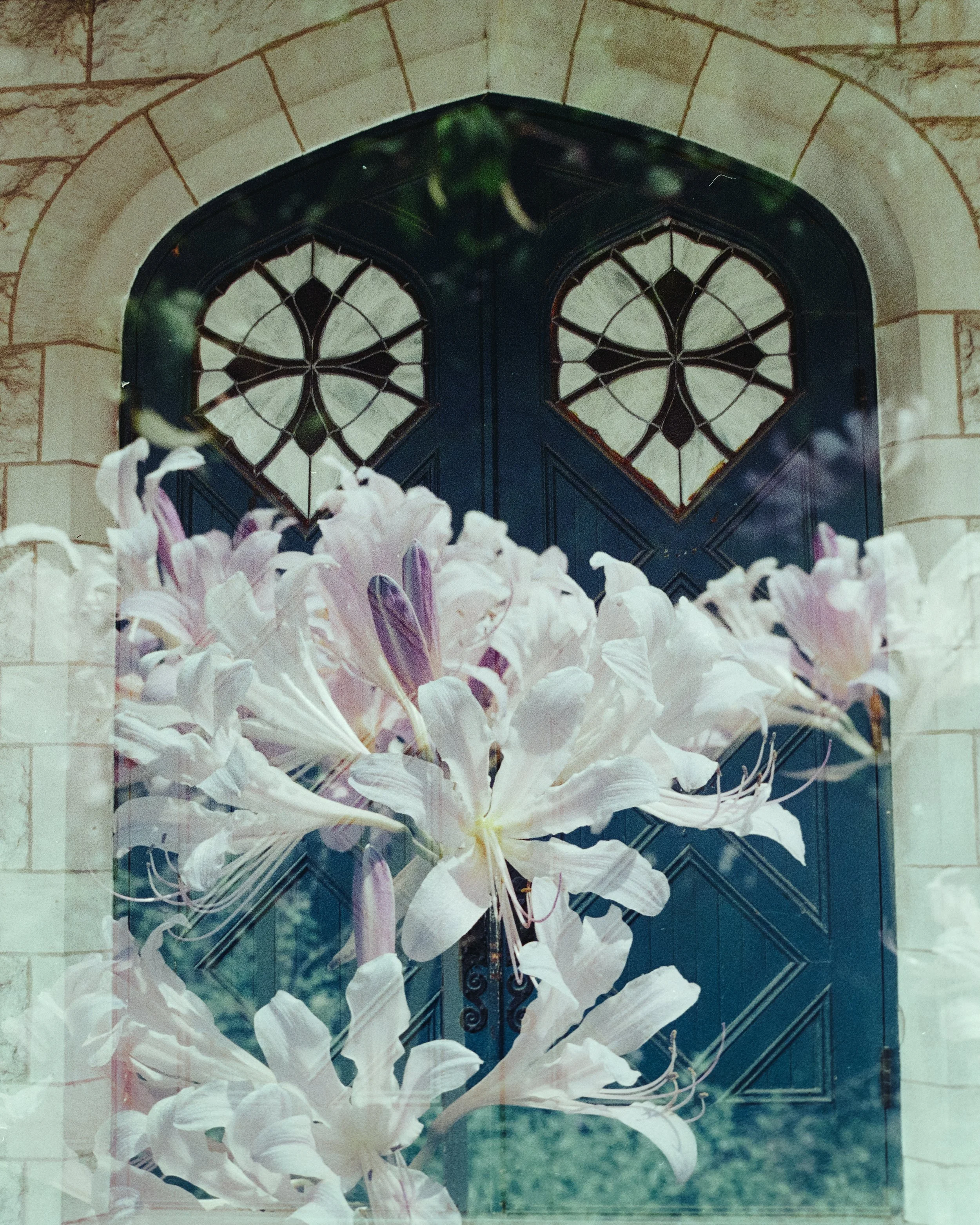 DOOR.jpg