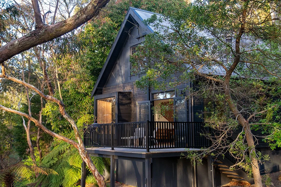 W_back_best_2 sq.jpg