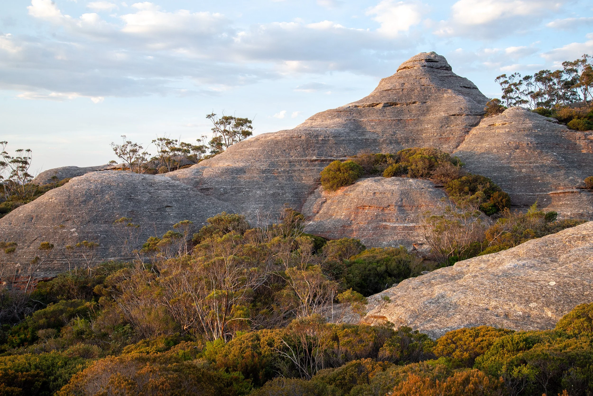 gardens of stone1.jpg