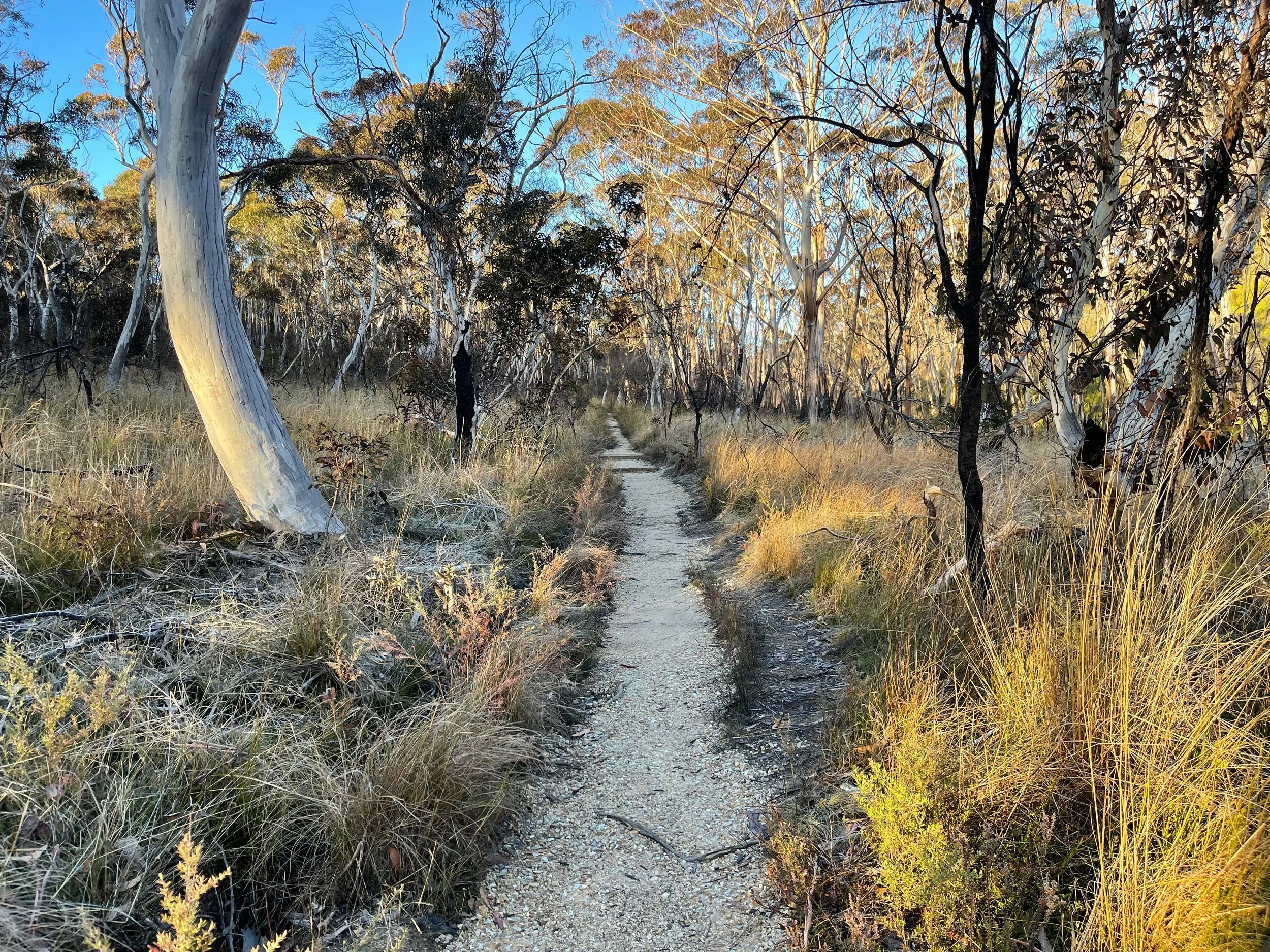 welcome trail.jpg
