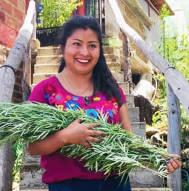 Sustainable Livelihoods