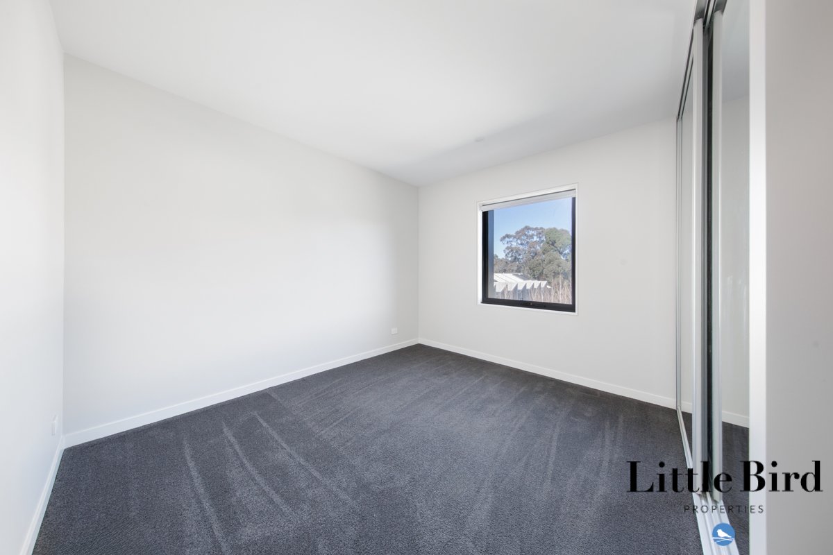 55_16 Bradfield st Downer_9.jpg