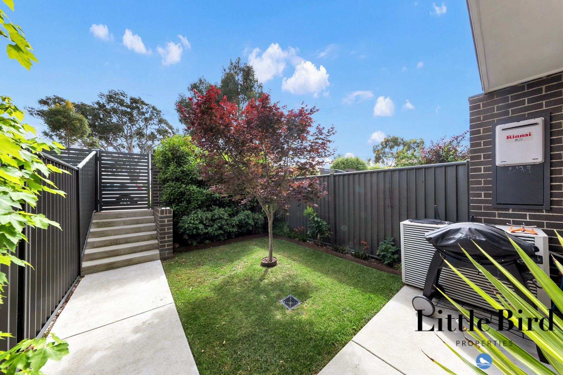 91 Bettong ave Throsby_5.jpg