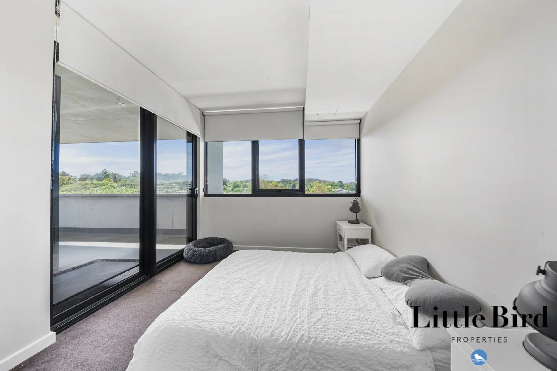 305_6 Provan St Campbell_11.jpg