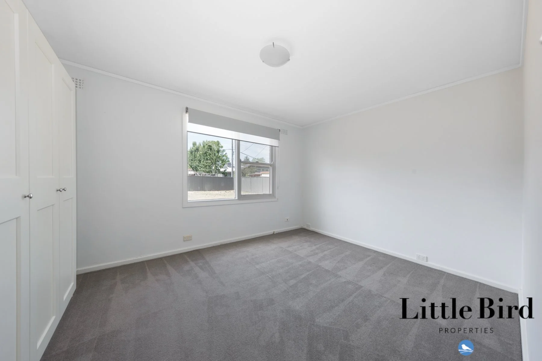122 Atherton St Downer_9.jpg