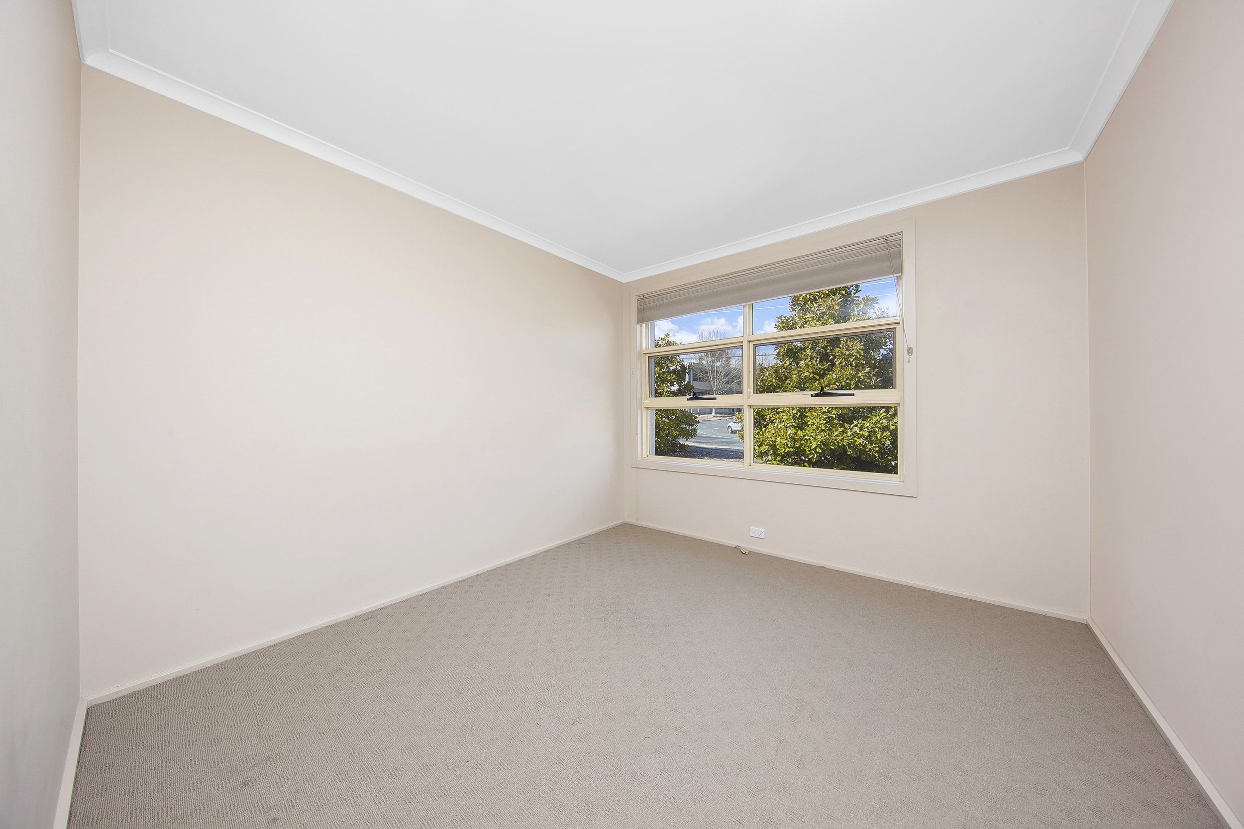 110A Mawson Dr Mawson_7.jpg