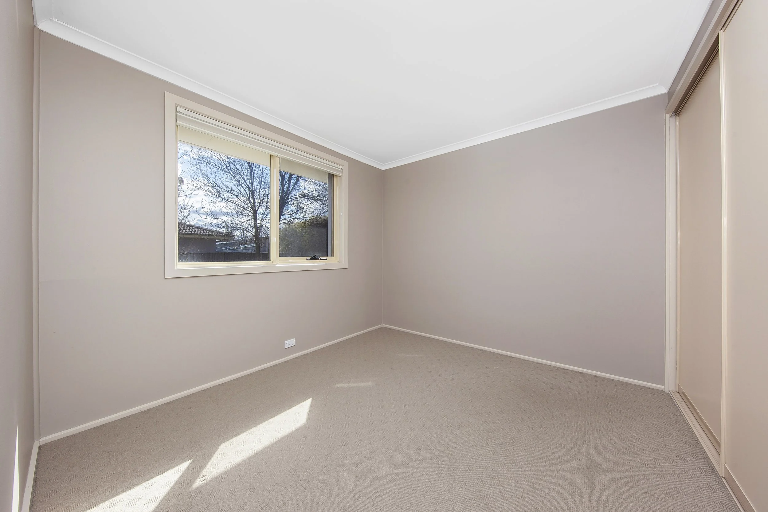110A Mawson Dr Mawson_8.jpg