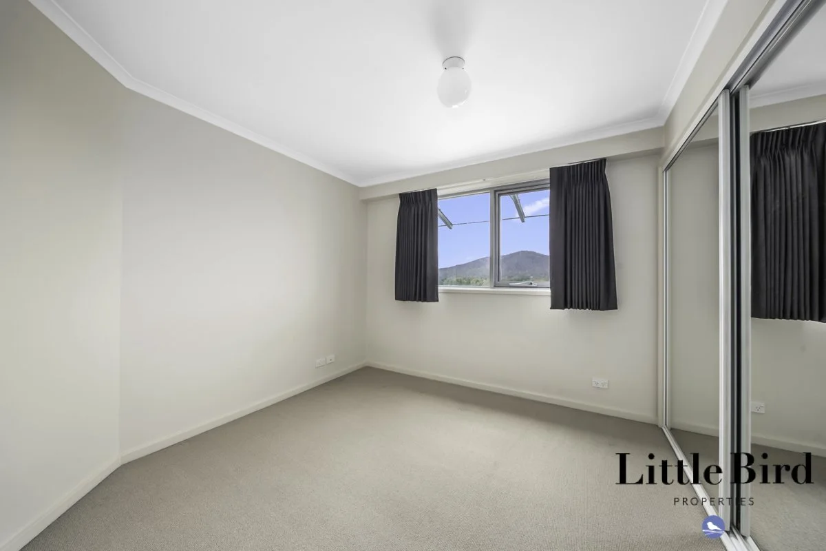 1004_2 Masson St Turner_11.jpg