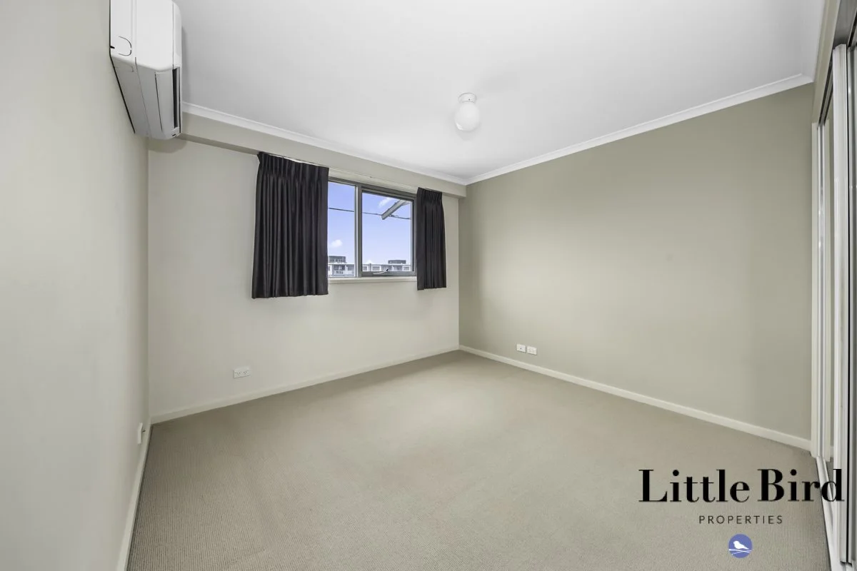 1004_2 Masson St Turner_12.jpg