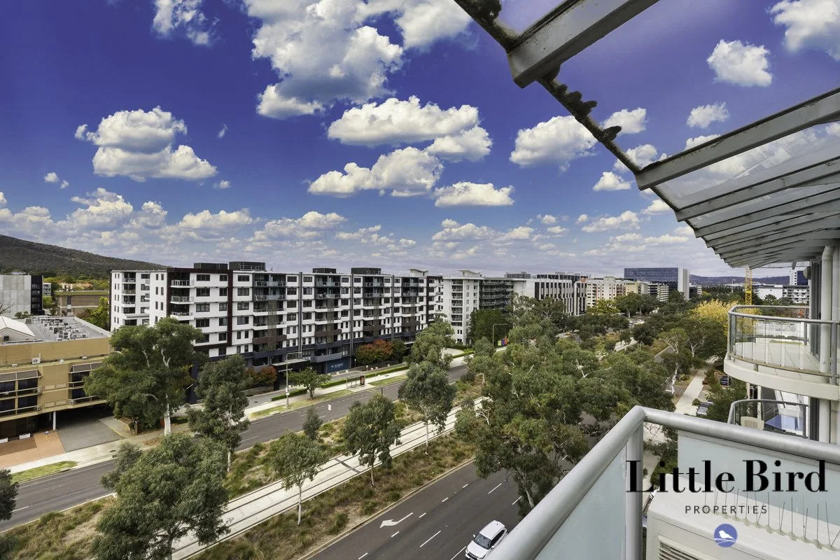 1004_2 Masson St Turner_15.jpg