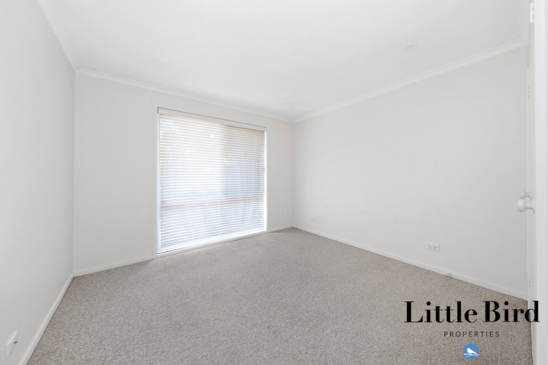 59_15 John Cleland Cres Florey_12.jpg