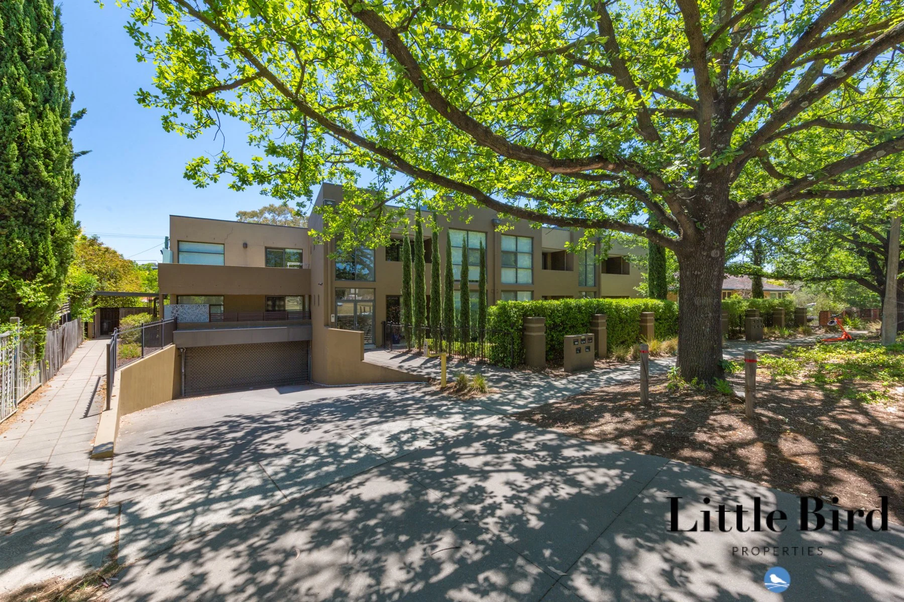 7_135 Limestone Ave Braddon_2.jpg