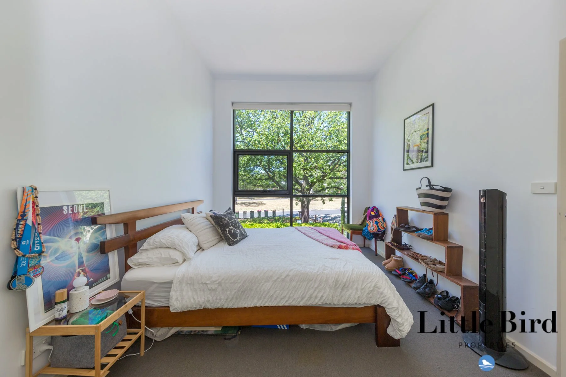 7_135 Limestone Ave Braddon_12.jpg