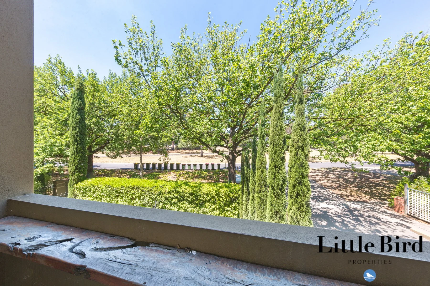 7_135 Limestone Ave Braddon_16.jpg