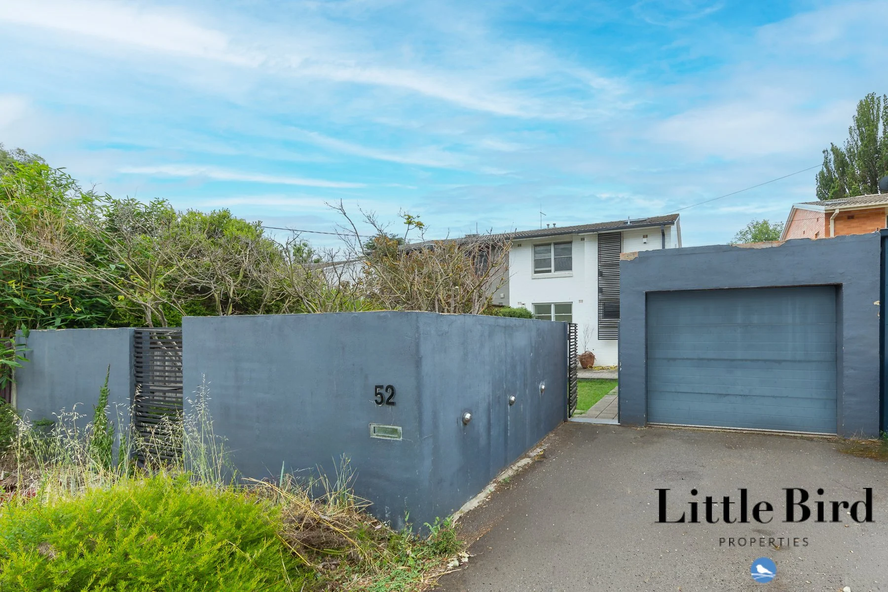 52 Carroll st Hughes_1.jpg