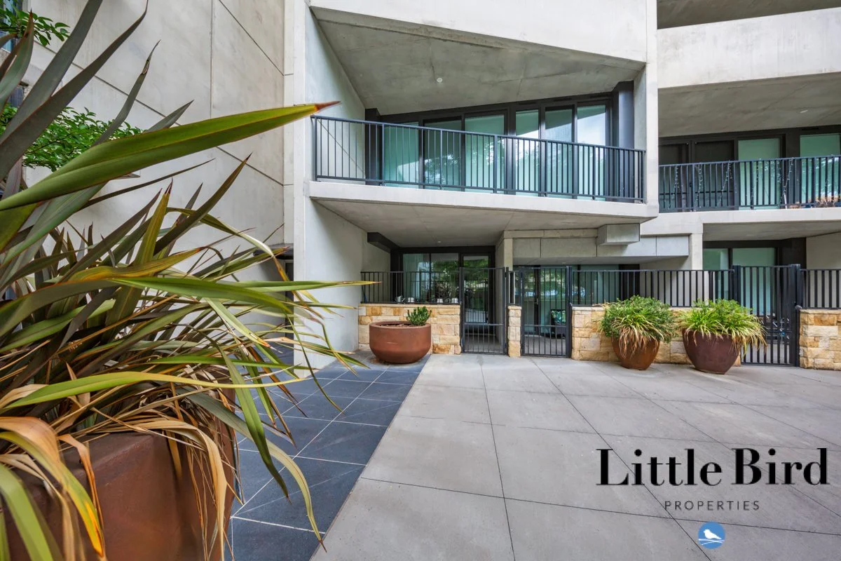 5_43 Currong st Braddon_5-2.jpg