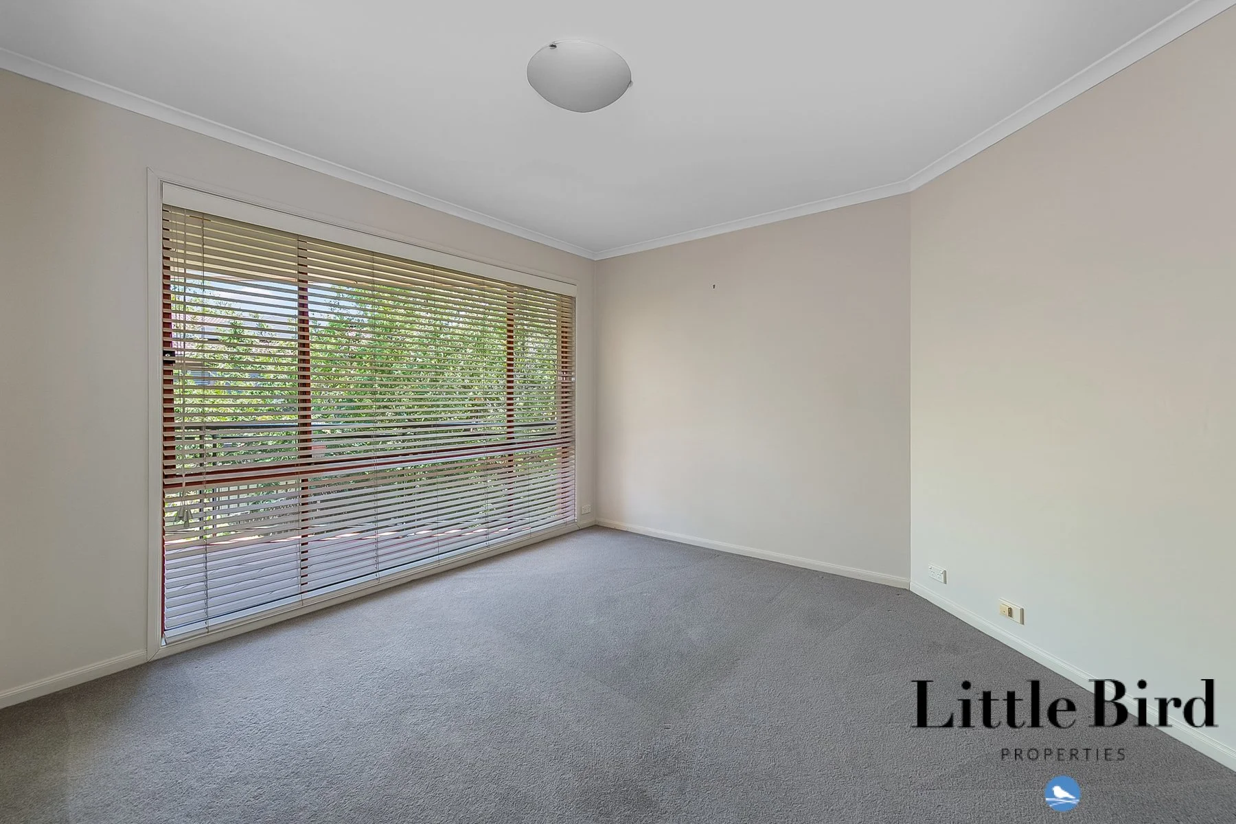 4_34 Gosse st Kingston_9.jpg