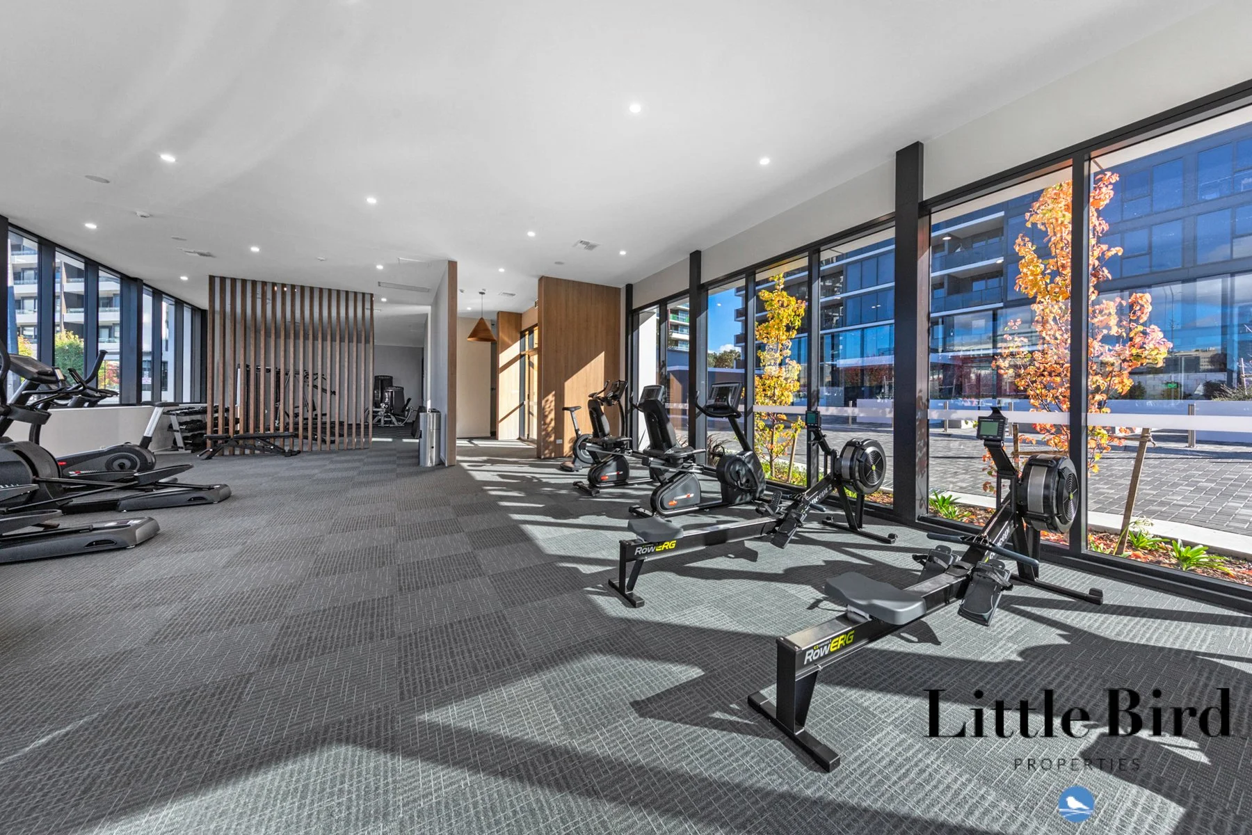 122_9 Irving St Phillip_20.jpg