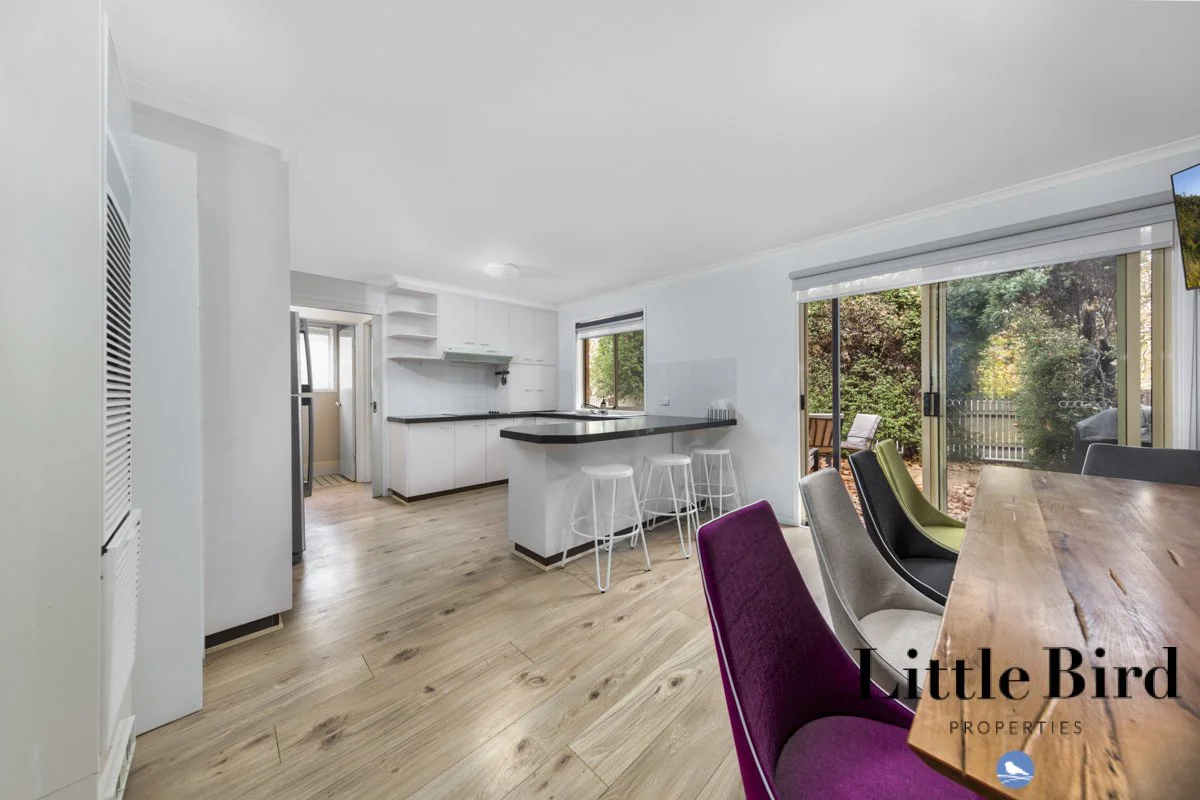 31_3 Everard St Palmerston_5.jpg