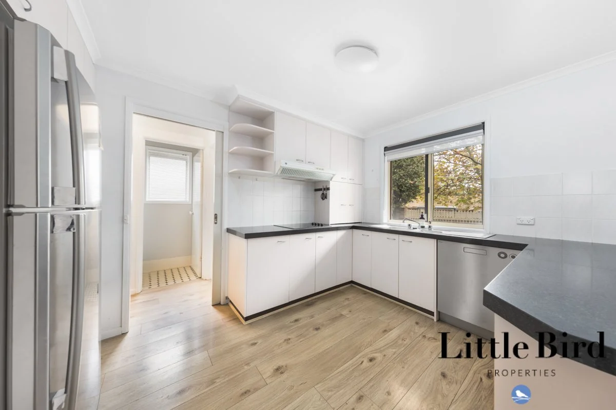 31_3 Everard St Palmerston_7.jpg