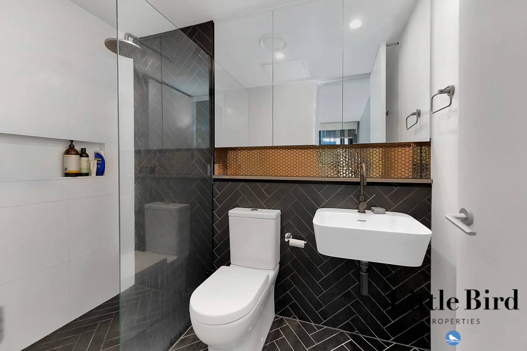 113_21 Provan st Campbell_9.jpg