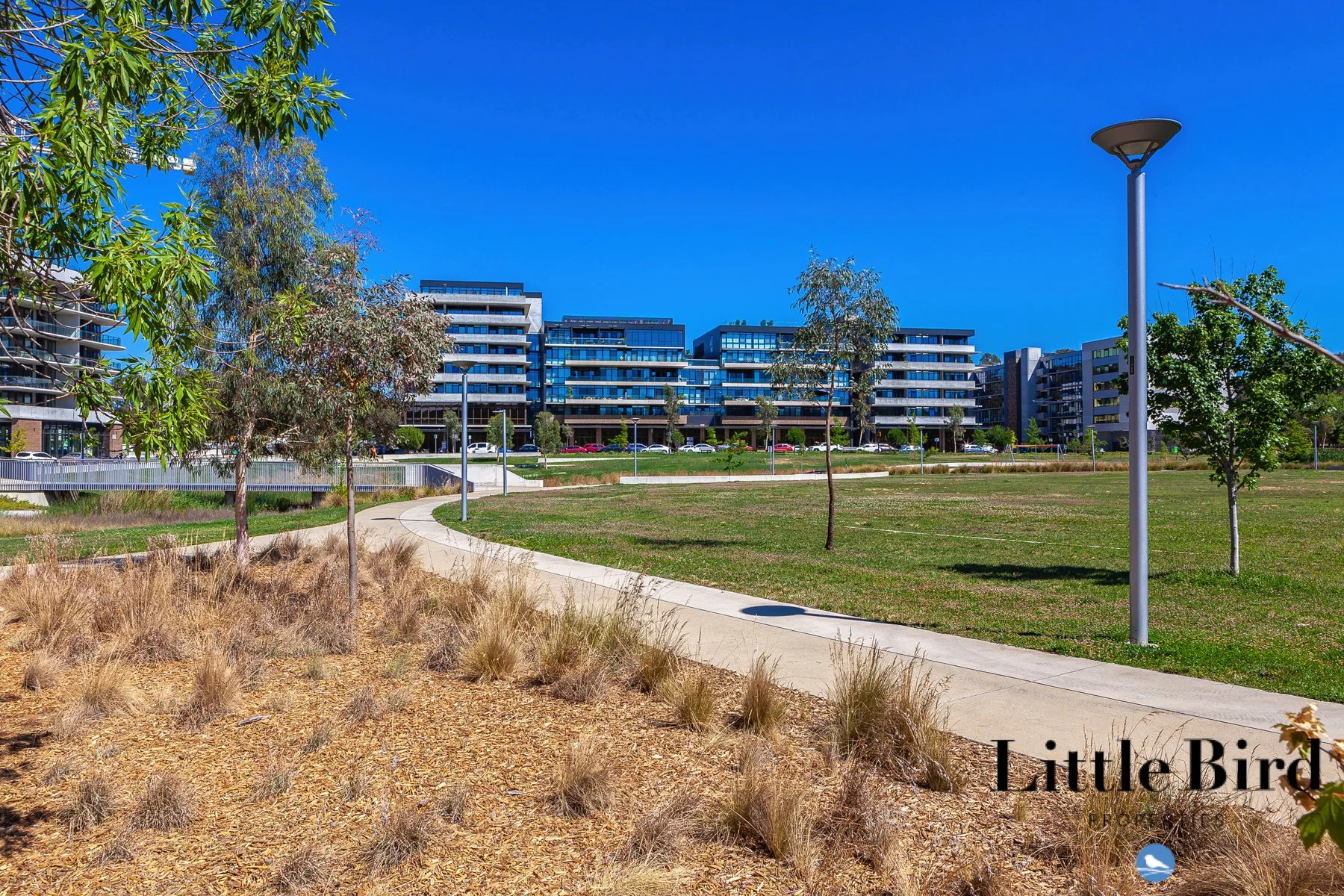 113_21 Provan st Campbell_15.jpg