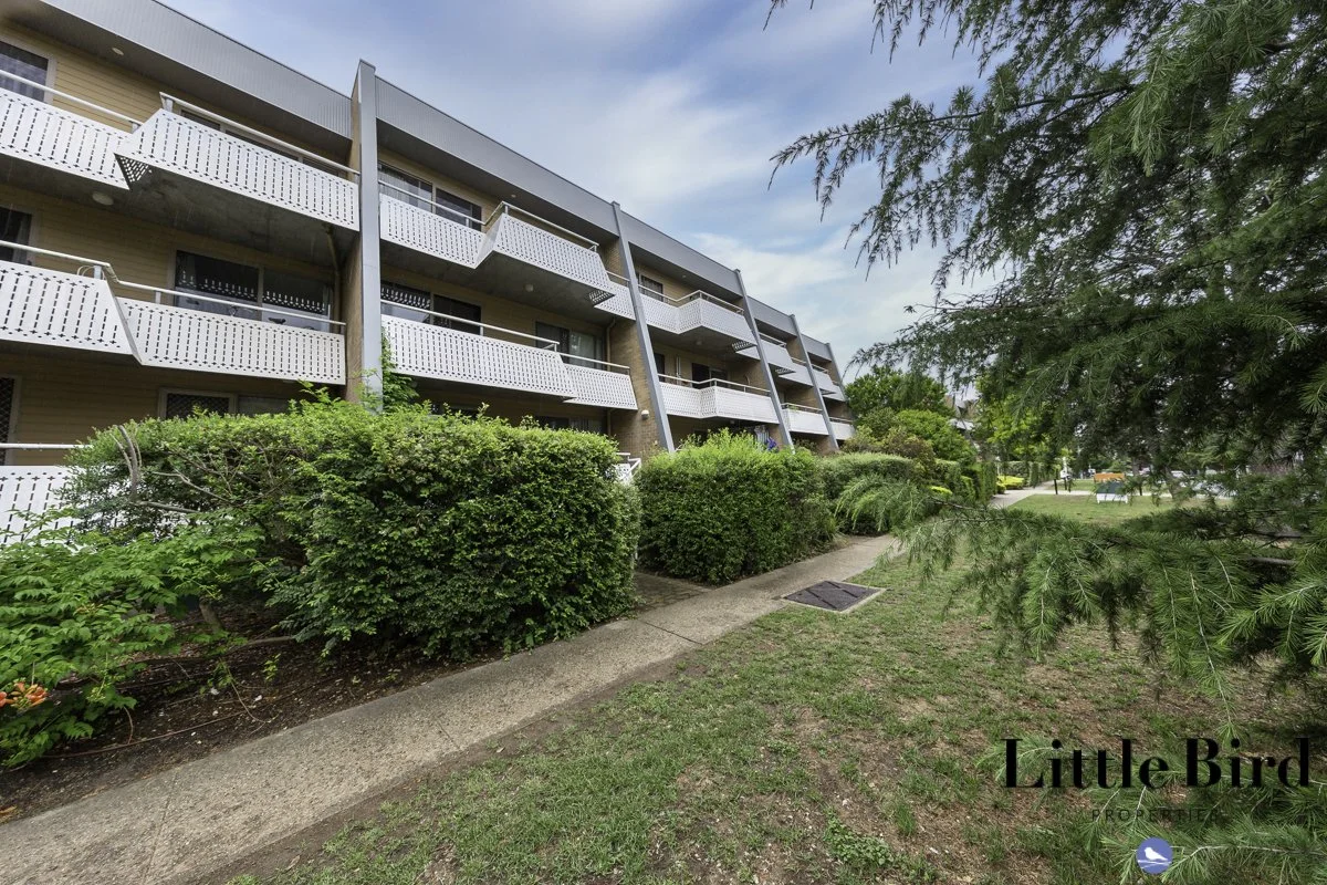 5_43 Giles St Kingston_3.jpg