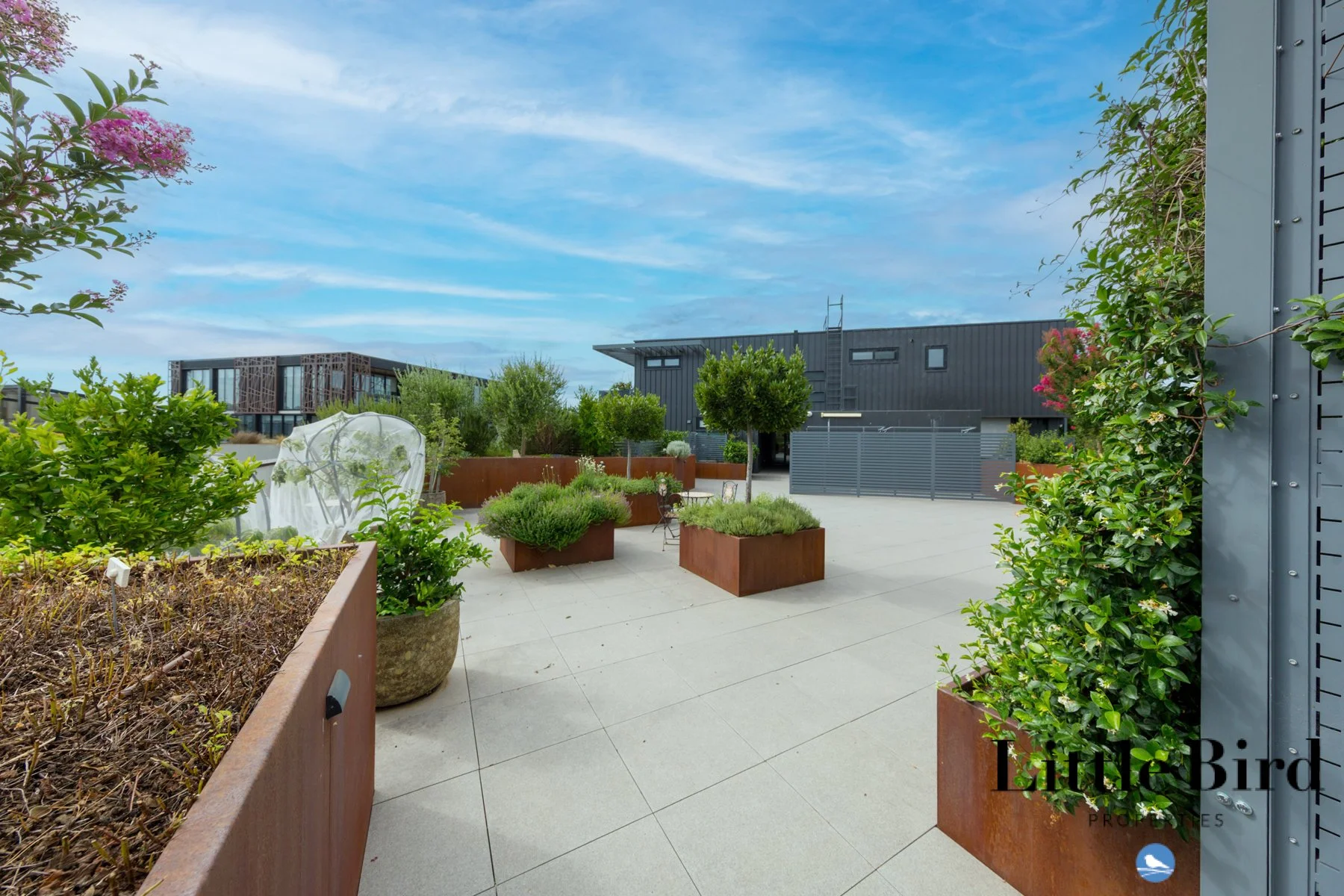 65_11 Kerridge st kingston_21.jpg