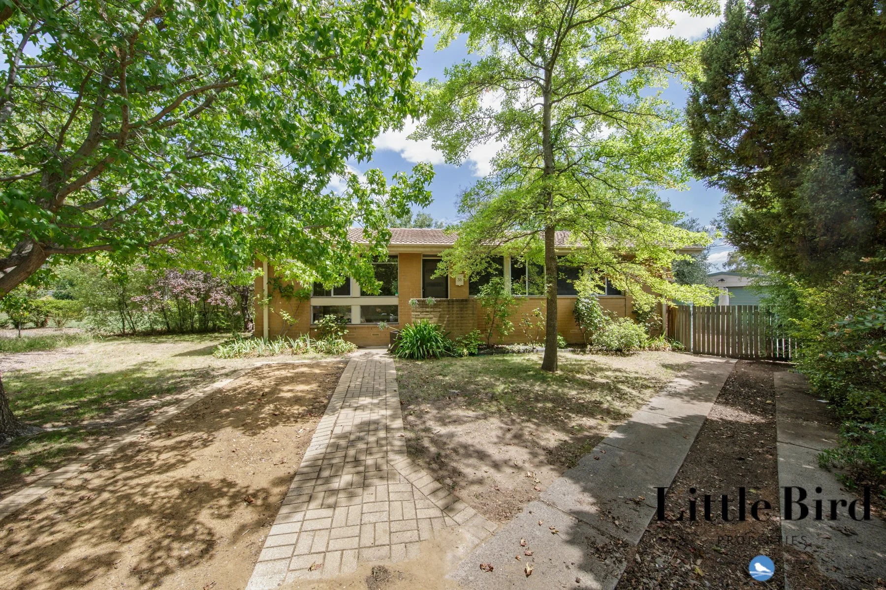 8 Nelumbo st Rivett_2.jpg