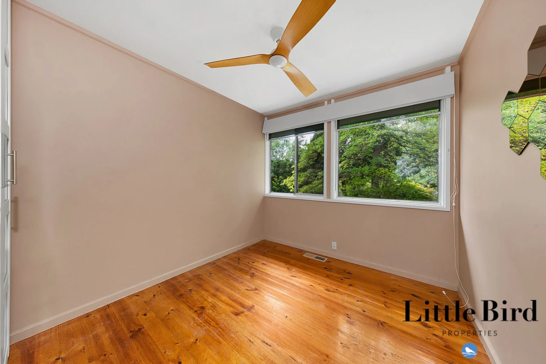 8 Nelumbo st Rivett_9.jpg