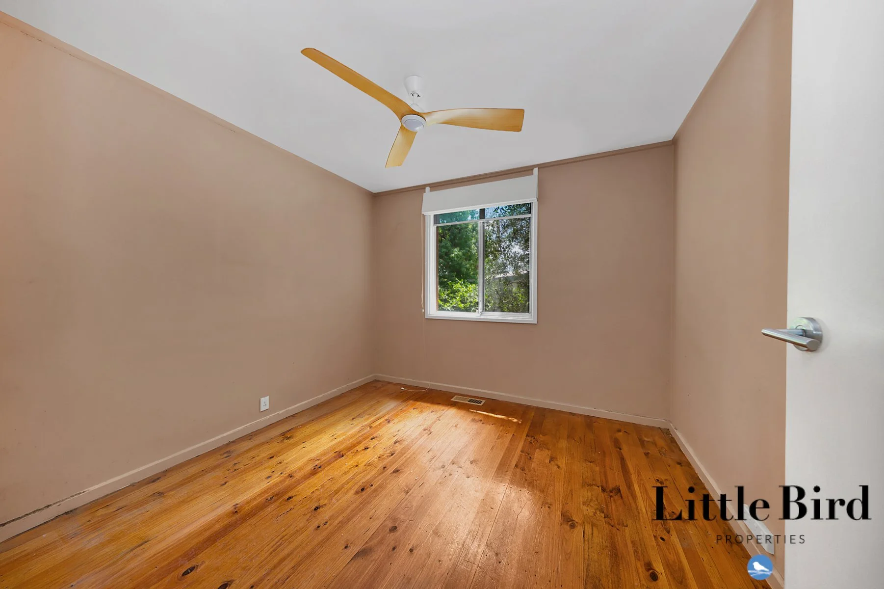 8 Nelumbo st Rivett_10.jpg