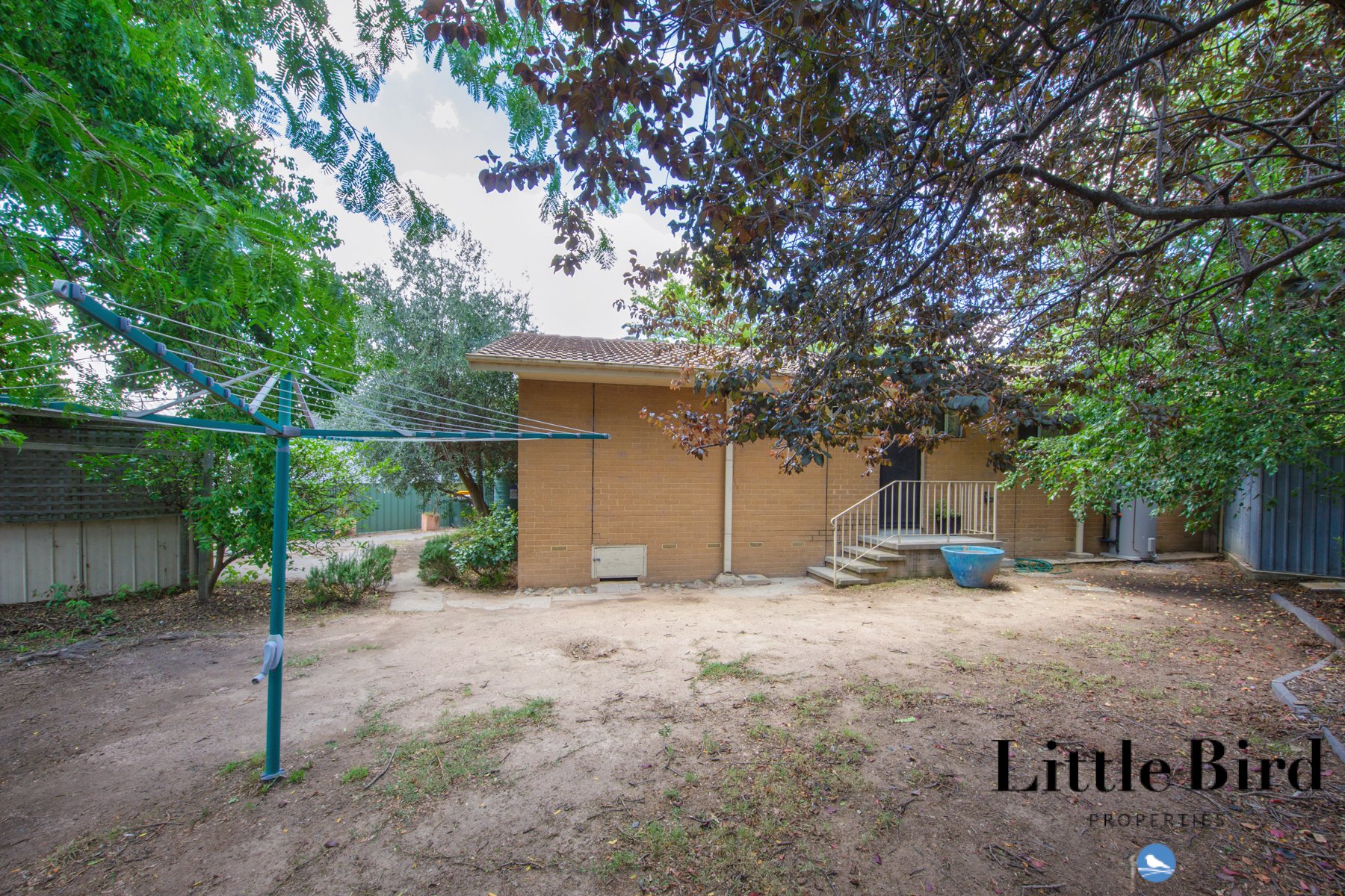 8 Nelumbo st Rivett_13.jpg