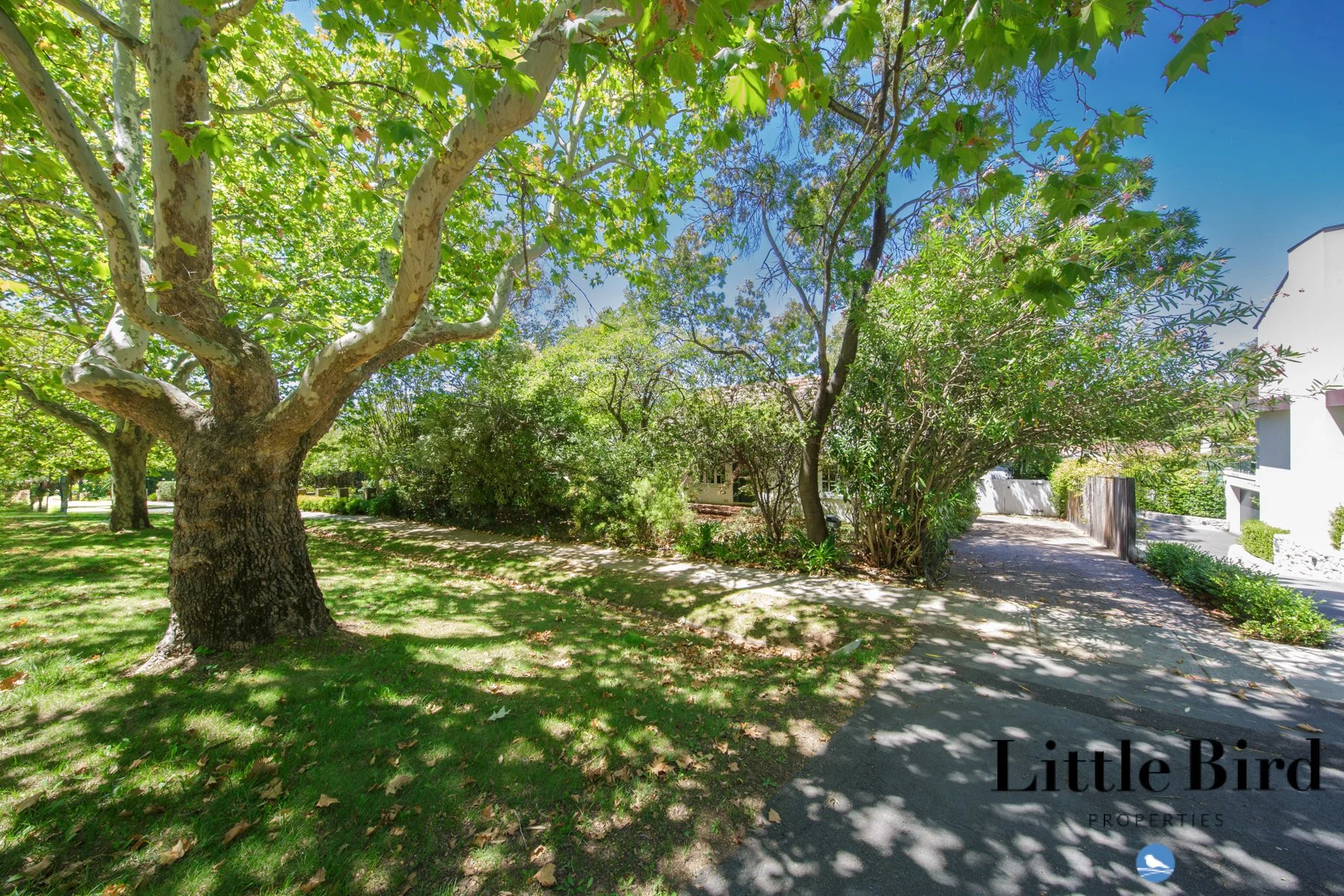 31 Arthur circle Griffith_1.jpg