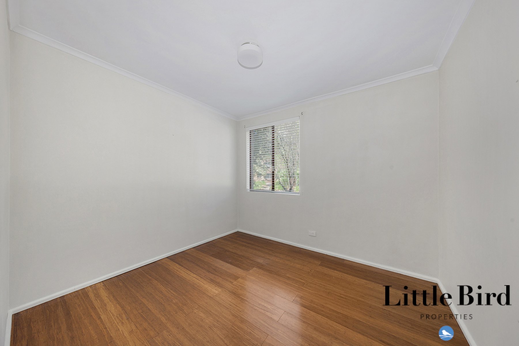5a_60 Wattle st Lyneham_8.jpg