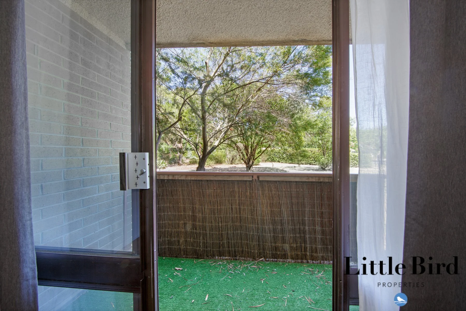 5a_60 Wattle st Lyneham_10.jpg