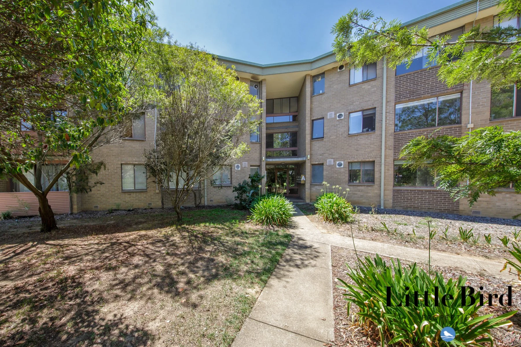 5a_60 Wattle st Lyneham_3.jpg