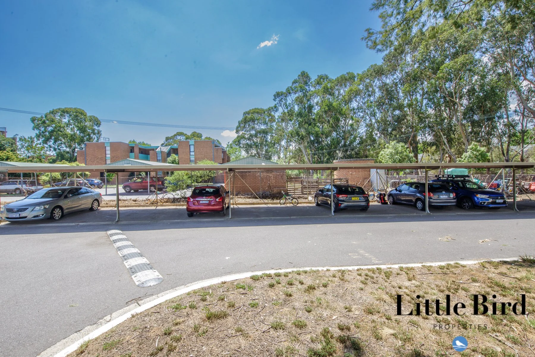 5a_60 Wattle st Lyneham_13.jpg