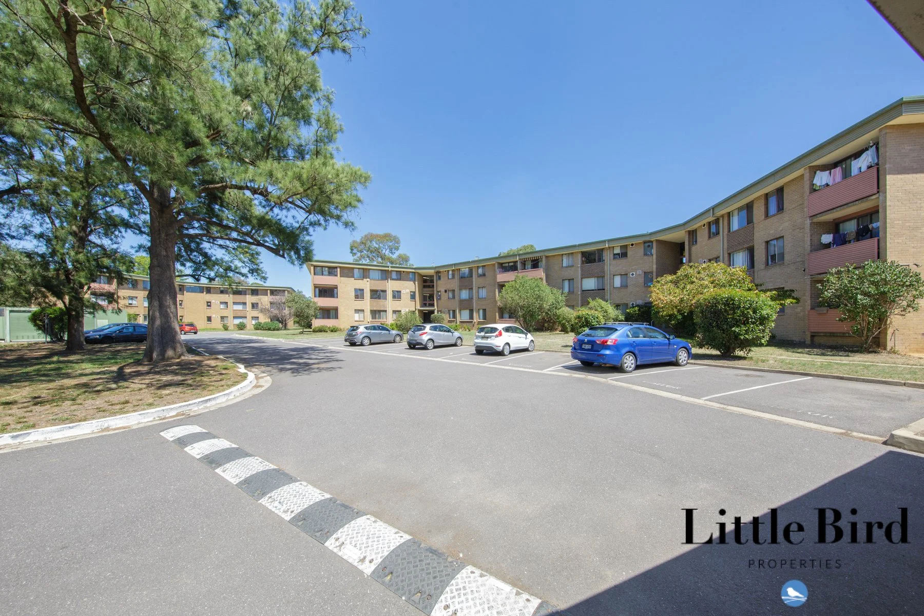 5a_60 Wattle st Lyneham_14.jpg